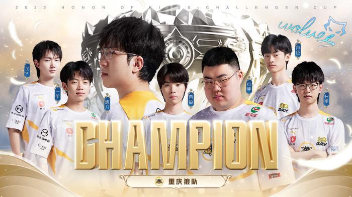 双打组合的