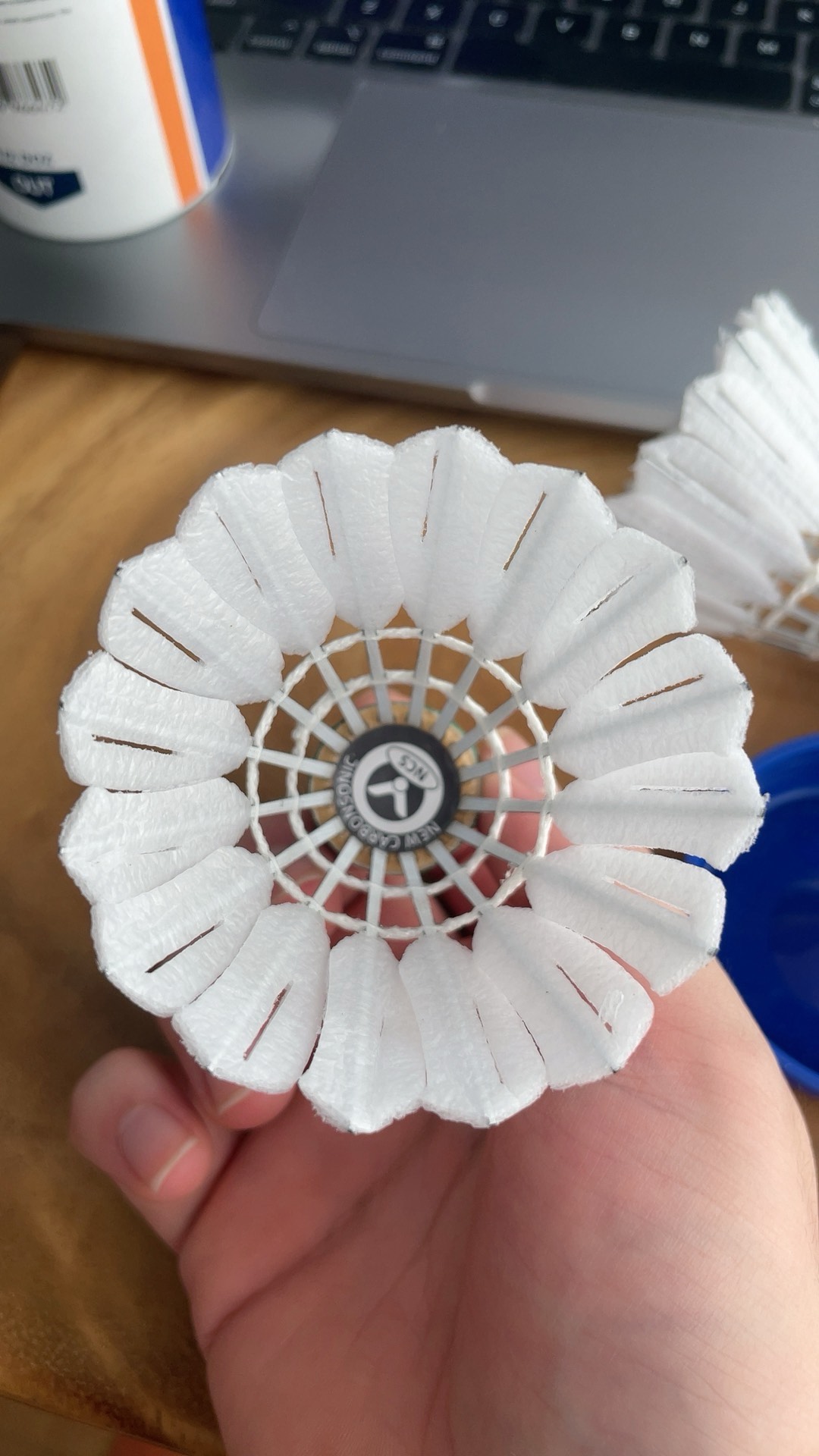 与各俱乐部 与各俱乐部