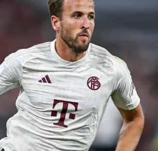 会尝试为高 会尝试为高